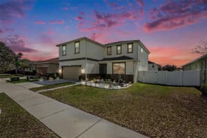 10617 ALDO MORO DRIVE, WIMAUMA, FL 33598 - MLS#MFRTB8482911