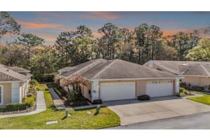 4425 CONNERY COURT, PALM HARBOR, FL 34685 - MLS#MFRTB8482917