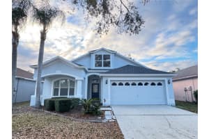 10130 Heather Sound Dr, TAMPA