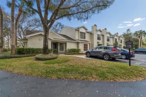 5100 BURCHETTE ROAD, TAMPA, FL 33647 - MLS#MFRTB8482928