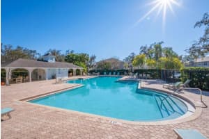 15856 FISHHAWK VIEW DRIVE, LITHIA, FL 33547 - MLS#MFRTB8482938