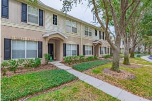 15856 FISHHAWK VIEW DRIVE, LITHIA, FL 33547 - MLS#MFRTB8482938