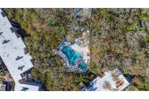 820 VIRGINIA STREET, DUNEDIN, FL 34698 - MLS#MFRTB8482946
