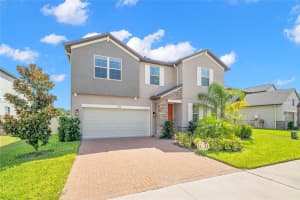 24941 LAMBRUSCO LOOP, LUTZ, FL 33559 - MLS#MFRTB8482950