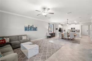 24941 LAMBRUSCO LOOP, LUTZ, FL 33559 - MLS#MFRTB8482950