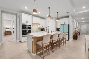 23122 SCAGLIONE DRIVE, LUTZ, FL 33549 - MLS#MFRTB8482962