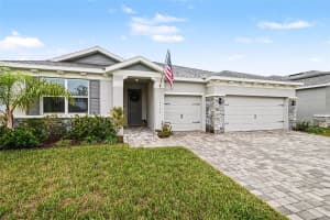 23122 SCAGLIONE DRIVE, LUTZ, FL 33549 - MLS#MFRTB8482962