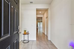 32505 TURTLE GRACE LOOP, WESLEY CHAPEL, FL 33545 - MLS#MFRTB8483006