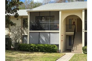 1354 SHADY PINE WAY, TARPON SPRINGS, FL 34688 - MLS#MFRTB8483048