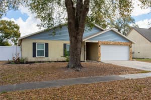 1443 MONTE LAKE DRIVE, VALRICO, FL 33596 - MLS#MFRTB8483067