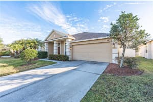 3602 JUNEBERRY DRIVE, WESLEY CHAPEL, FL 33543 - MLS#MFRTB8483096