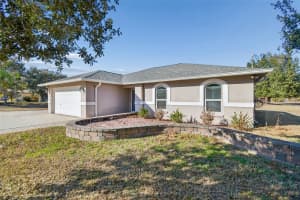 31609 HUNT CLUB LANE, WESLEY CHAPEL, FL 33543 - MLS#MFRTB8483114