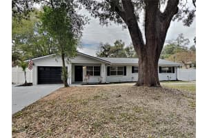 MLS# MFRTB8483116, Lutz, Florida 33559