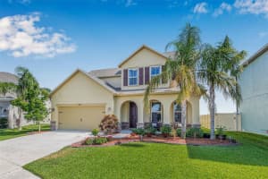 11917 GREENCHOP PLACE, RIVERVIEW, FL 33579 - MLS#MFRTB8483126