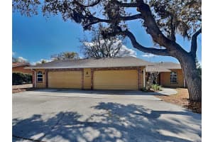MLS# MFRTB8483129, Tarpon Springs, Florida 34689