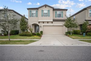12517 HORSESHOE BEND DRIVE, LITHIA, FL 33547 - MLS#MFRTB8483130