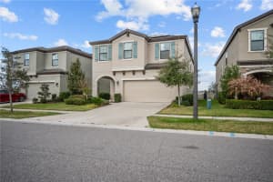 12517 HORSESHOE BEND DRIVE, LITHIA, FL 33547 - MLS#MFRTB8483130