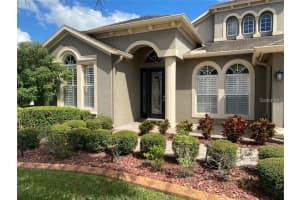 16235 IVY LAKE DRIVE, ODESSA, FL 33556 - MLS#MFRTB8483131