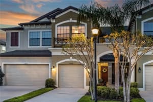 11604 CROWNED SPARROW LANE, TAMPA, FL 33626 - MLS#MFRTB8483156