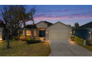 29232 COHARIE LOOP, SAN ANTONIO, FL 33576 - MLS#MFRTB8483161