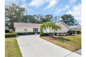 3132 BRUNSWICK CIRCLE, PALM HARBOR, FL 34684 - MLS#MFRTB8483229