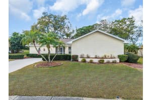 3132 BRUNSWICK CIRCLE, PALM HARBOR, FL 34684 - MLS#MFRTB8483229