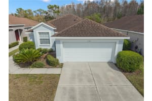 5542 GALLANT FOX COURT, WESLEY CHAPEL, FL 33544 - MLS#MFRTB8483235
