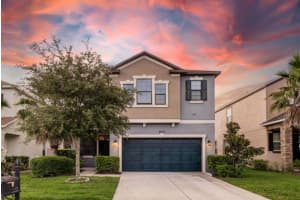 21223 Wistful Yearn Dr, LAND O LAKES