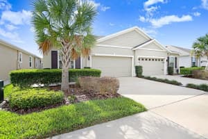 31426 MANGO FADE WAY, SAN ANTONIO, FL 33576 - MLS#MFRTB8483289