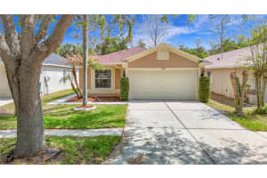 18129 PORTSIDE STREET, TAMPA, FL 33647 - MLS#MFRTB8483319