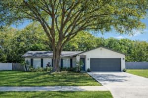 14337 Diplomat Dr, TAMPA