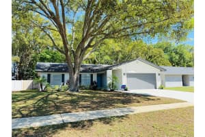 14337 DIPLOMAT DRIVE, TAMPA, FL 33613 - MLS#MFRTB8483338