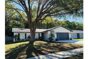 14337 DIPLOMAT DRIVE, TAMPA, FL 33613 - MLS#MFRTB8483338