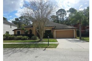 10820 RAIN LILLY PASS, LAND O LAKES, FL 34638 - MLS#MFRTB8483340