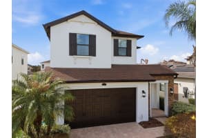 29211 PERILLI PLACE, WESLEY CHAPEL, FL 33543 - MLS#MFRTB8483342