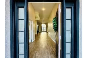 1643 SAND HOLLOW LANE, VALRICO, FL 33594 - MLS#MFRTB8483362