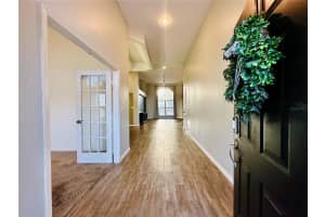 1643 SAND HOLLOW LANE, VALRICO, FL 33594 - MLS#MFRTB8483362