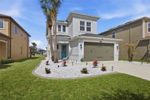 29003 TREVI PLACE, WESLEY CHAPEL, FL 33543 - MLS#MFRTB8483382