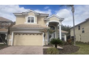 10884 CORY LAKE DRIVE, TAMPA, FL 33647 - MLS#MFRTB8483482