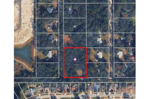 13016 BARNEY DRIVE, HUDSON, FL 34669 - MLS#MFRTB8483520
