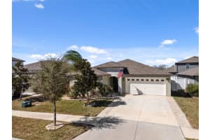 10387 Scarlett Skimmer Dr, RIVERVIEW