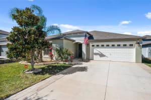 10387 SCARLETT SKIMMER DRIVE, RIVERVIEW, FL 33578 - MLS#MFRTB8483527