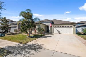 10387 SCARLETT SKIMMER DRIVE, RIVERVIEW, FL 33578 - MLS#MFRTB8483527