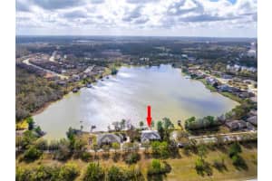 6716 Magnolia Point Dr, LAND O LAKES