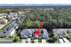 20119 WEEPING LAUREL PLACE, TAMPA, FL 33647 - MLS#MFRTB8483596