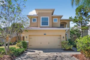 7710 TUSCANY WOODS DRIVE, TAMPA, FL 33647 - MLS#MFRTB8483598