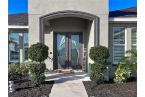 5216 LAKE VENICE DRIVE, WIMAUMA, FL 33598 - MLS#MFRTB8483599