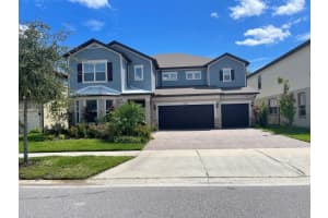 18783 BIRCHWOOD GROVES DRIVE, LUTZ, FL 33558 - MLS#MFRTB8483645