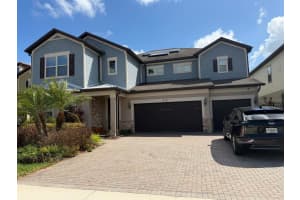 18783 BIRCHWOOD GROVES DRIVE, LUTZ, FL 33558 - MLS#MFRTB8483645