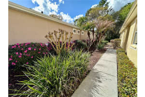 8137 PONKAN ROAD, LAND O LAKES, FL 34637 - MLS#MFRTB8483656